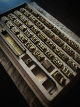 Load image into Gallery viewer, The Cole - Medium brown harness